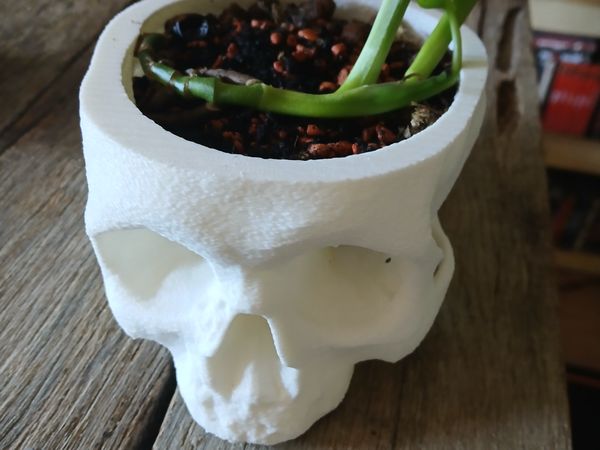 Skull pot