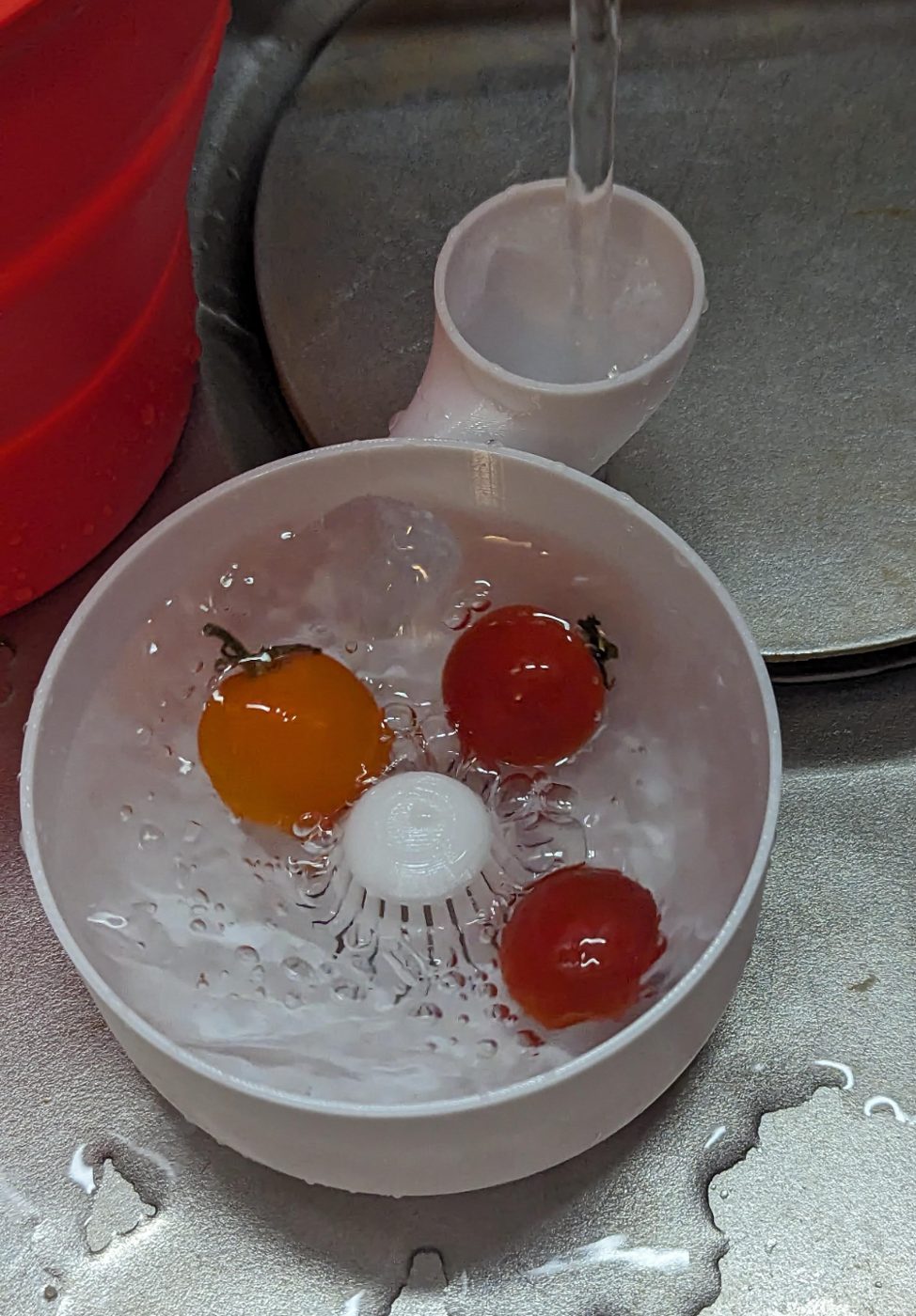 Automatic vegetable and fruit washer- no supports and no ass