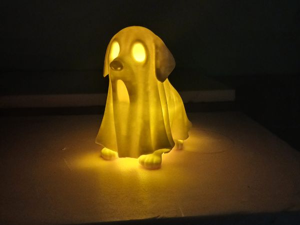 Ghost Dog lantern