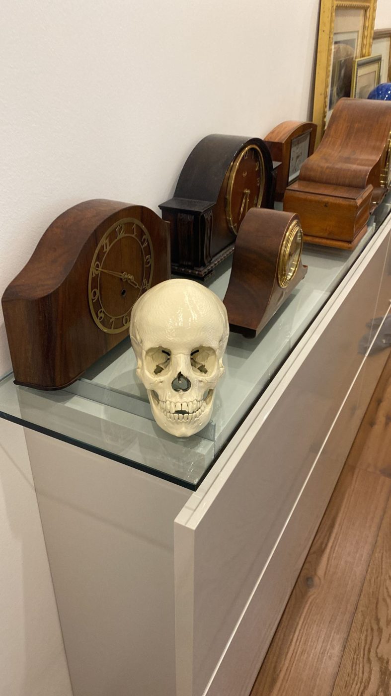 Human Skull, Anatomically Correct