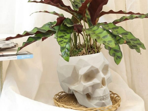 Low Poly Skull Planter