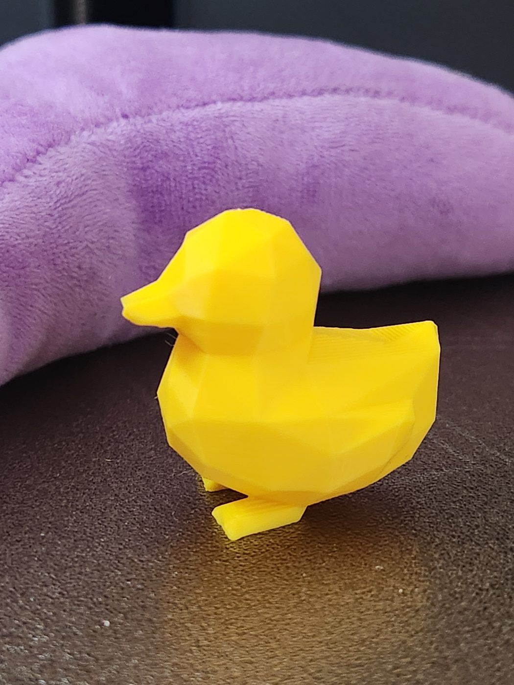 Cute Duck
