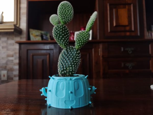 Cactus Flower Pot - funny and cute