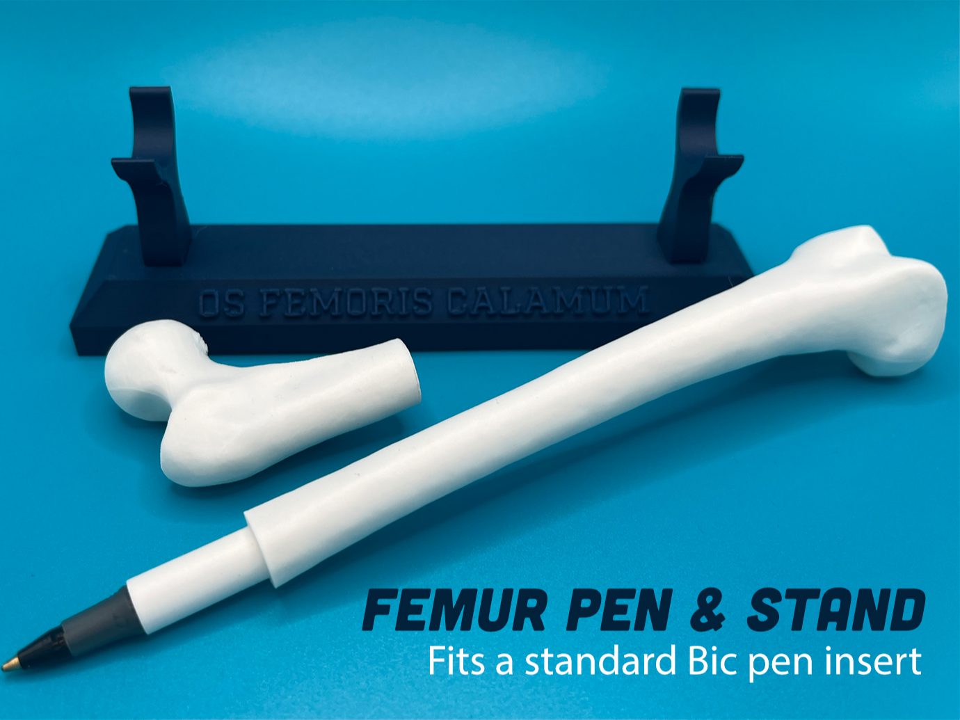 Femur Pen