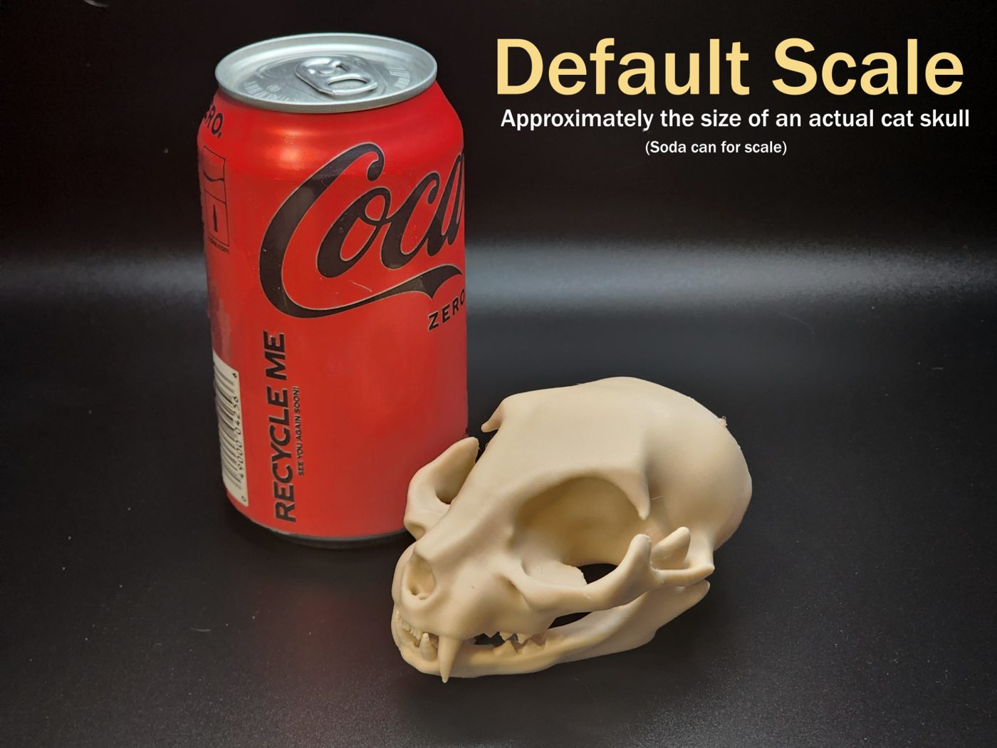 Cat Skull
