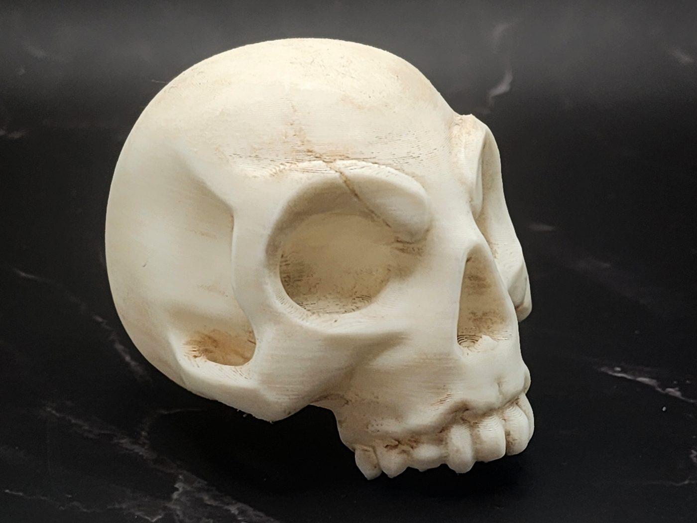 Small Stylized Skull
