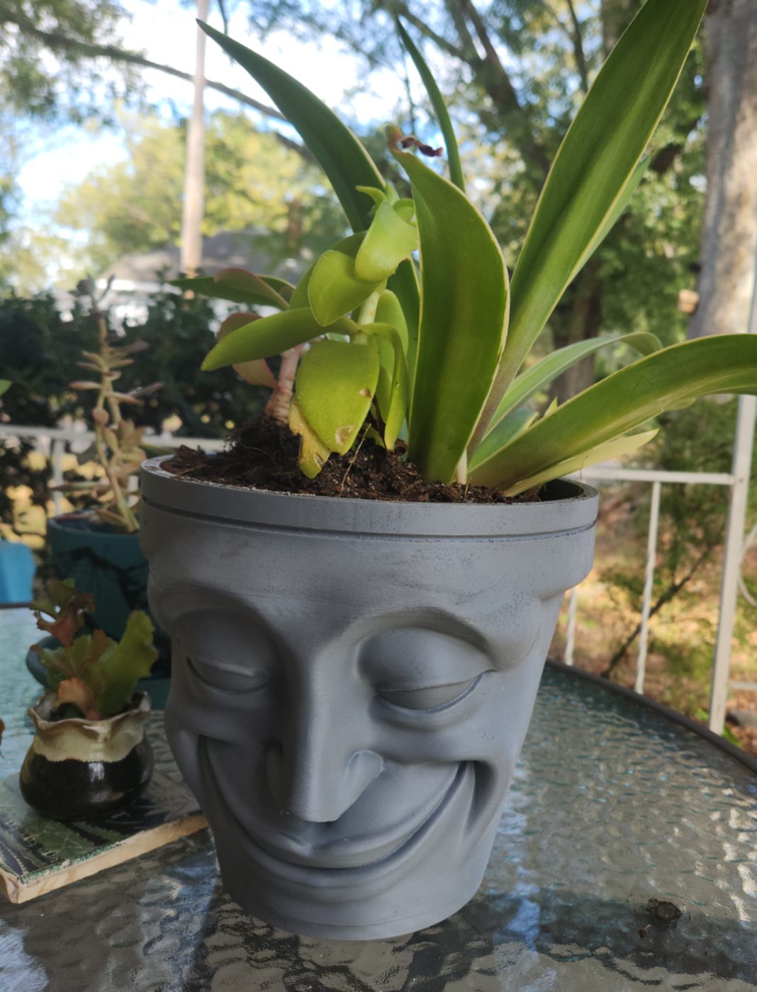 Smiling Face Pot