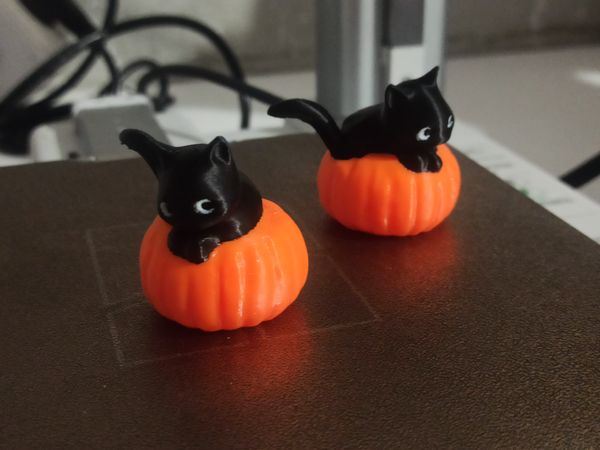 Halloween cat on pumpkin