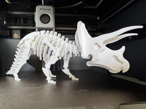 Triceratops Dinosaur Skeleton Puzzle