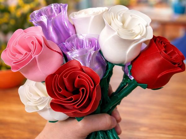 Beautiful Rose w Stem - International Woman’s Day