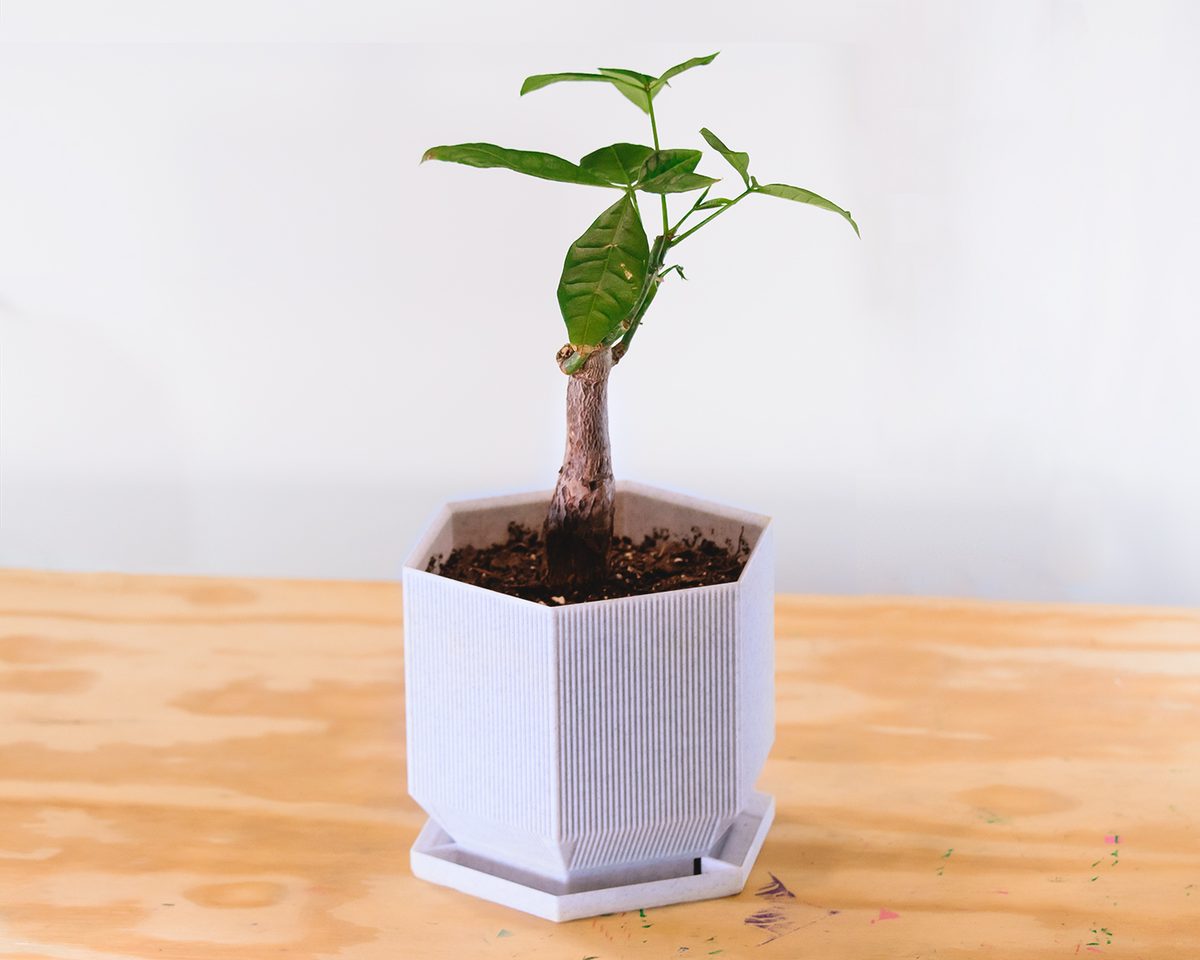 Hexagonal planter v2