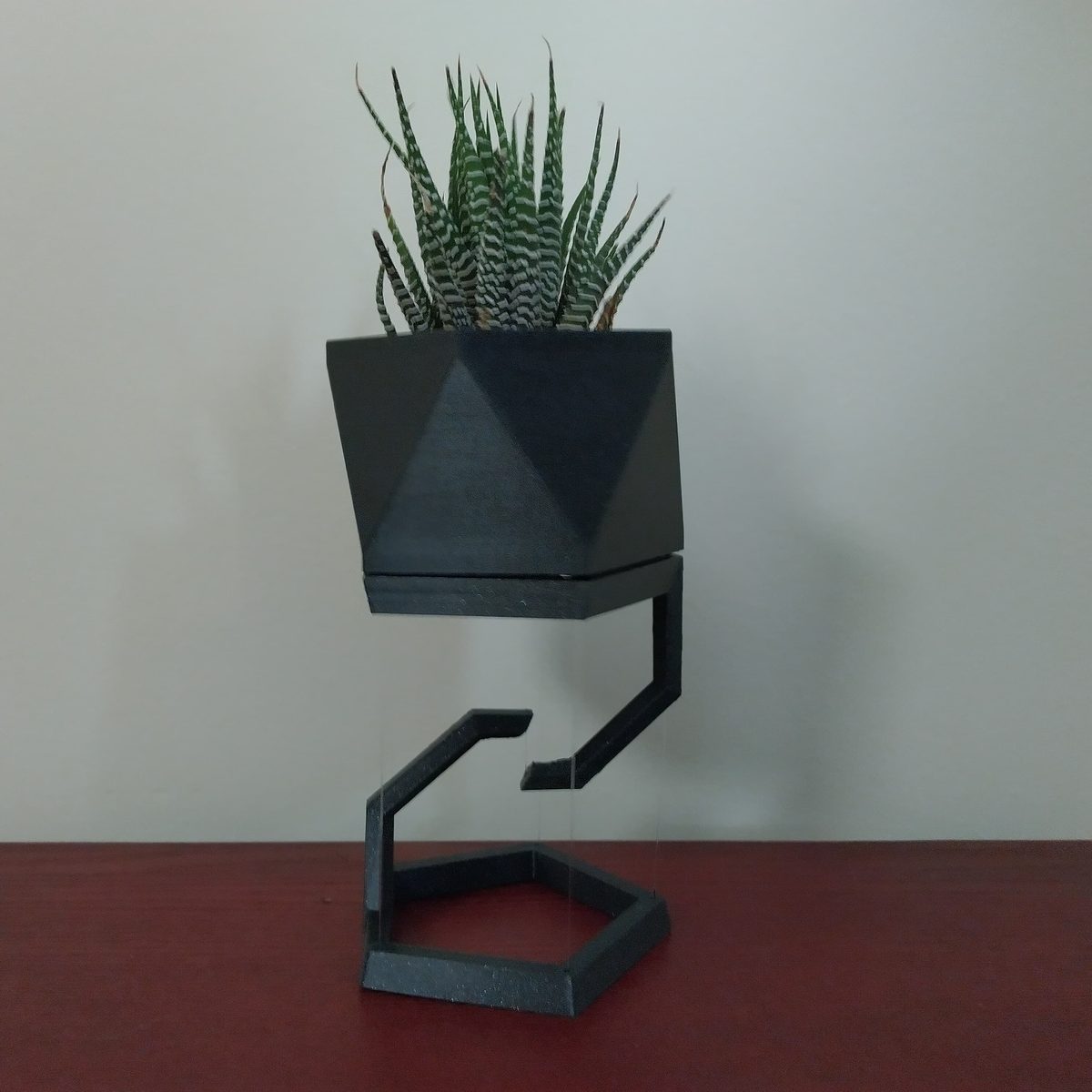 Magic Floating Plant Pot